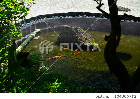 竹林で有名な鎌倉・報国寺 104300782