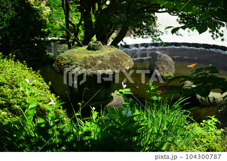 竹林で有名な鎌倉・報国寺 竹林で有名な鎌倉・報国寺 104300787