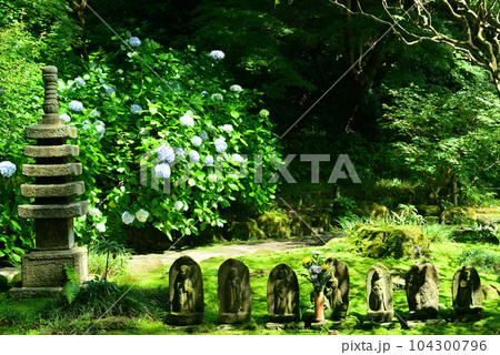 竹林で有名な鎌倉・報国寺 竹林で有名な鎌倉・報国寺 104300796