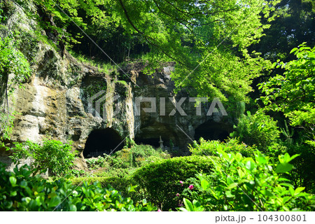 竹林で有名な鎌倉・報国寺 104300801