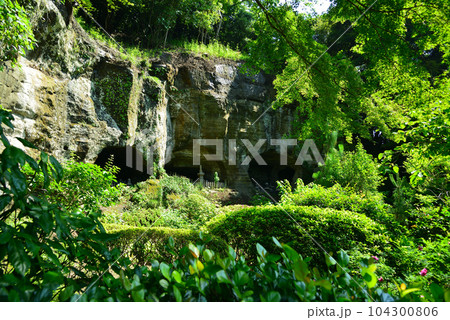 竹林で有名な鎌倉・報国寺 104300806