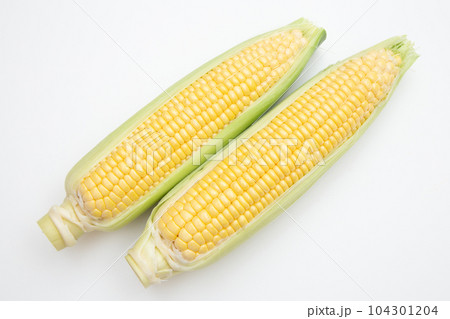 トウモロコシ 104301204
