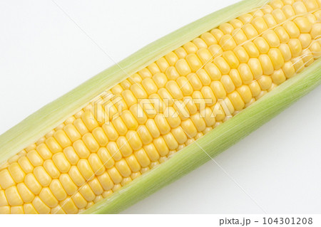 トウモロコシ　 104301208