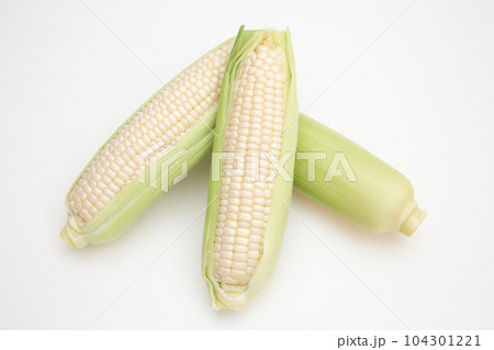 トウモロコシ 104301221