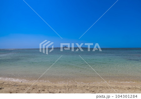 海洋博公園、美ら海の浜辺 海洋博公園、美ら海の浜辺 104301284