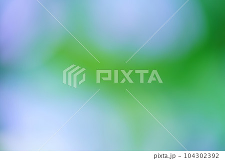 紫陽花の花と葉っぱのぼけぼけ背景素材 104302392