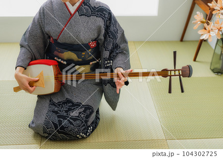 三味線 着物 和室 三味線 着物 和室 104302725