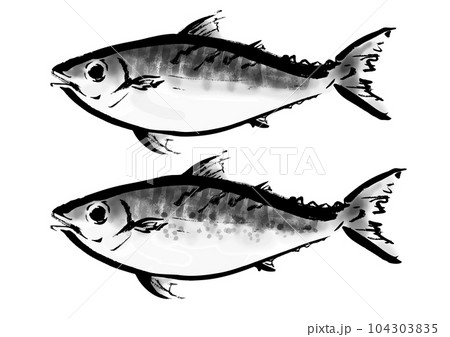 真鯖とゴマ鯖の手描き和風イラスト和風素材 104303835