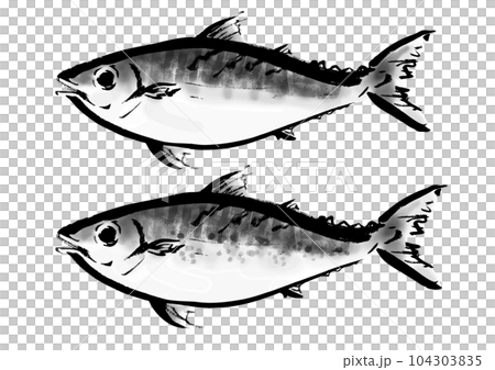 真鯖とゴマ鯖の手描き和風イラスト和風素材 104303835