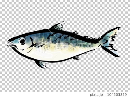 ゴマサバの手描き和風イラスト和風素材 104303839