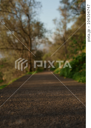 Mont Boron trail path for walking or hiking 104304747