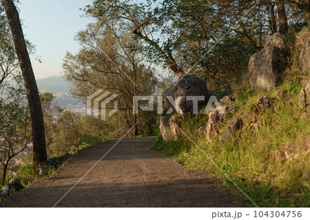 Mont Boron trail path for walking or hiking Mont Boron trail path for walking or hiking 104304756
