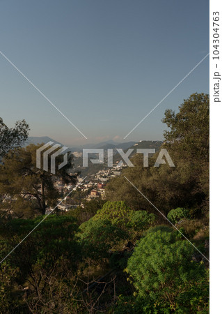 View of Nice from Mont Boron trail 104304763