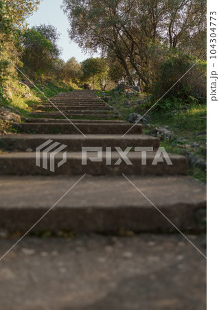 Mont Boron trail path for walking or hiking 104304773