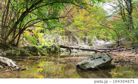 Summer day forest stream water with motion blur waves Summer day forest stream water with motion blur waves 104304875