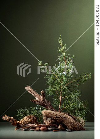 Abstract nature scene with a composition of juniper, stones, and dry snags. Abstract nature scene with a composition of juniper, stones, and dry snags. 104305081