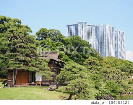 浜離宮恩賜庭園 松の御茶屋と高層ビル 浜離宮恩賜庭園 松の御茶屋と高層ビル 104305123