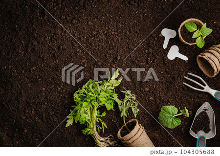Garden tools and plants Garden tools and plants 104305688