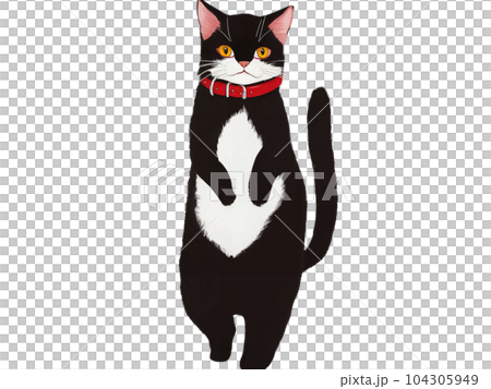 立つ黒猫のイラスト素材 [104305949] - PIXTA