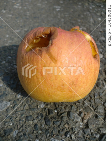道路に打ち捨てられたリンゴ 道路に打ち捨てられたリンゴ 104306011