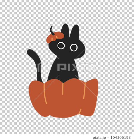 cat pumpkin halloween cartoon icon cat pumpkin halloween cartoon icon 104306198