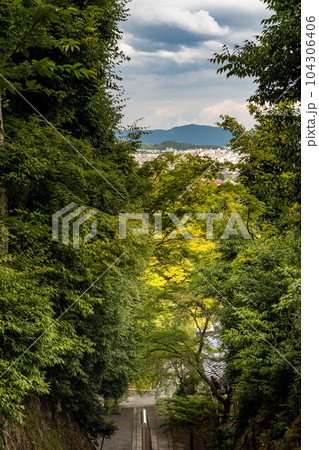 二尊院の初夏、法然上人御廟へ続く石段から京都盆地と比叡山をかえりみる 104306406