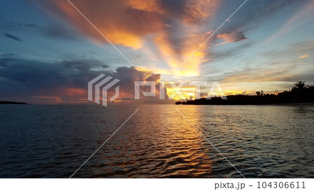 Colorful sunrise and reflections above mangrove shore of Key Biscayne, Florida. 104306611
