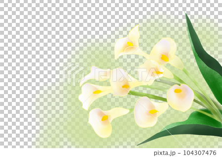 calla flower card 3 104307476