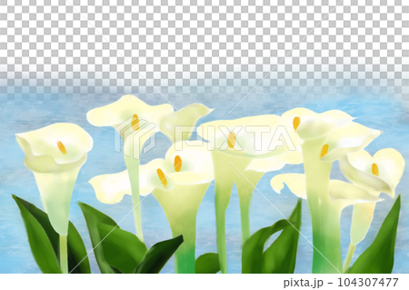 calla flower card 4 calla flower card 4 104307477