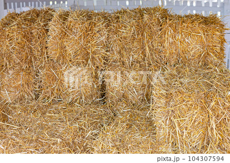 Straw Hay Bales Straw Hay Bales 104307594