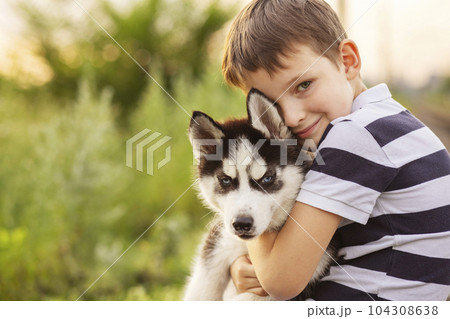 A little boy in a striped t-shirt lovingly hugs his pet husky dog outdoors A little boy in a striped t-shirt lovingly hugs his pet husky dog outdoors 104308638
