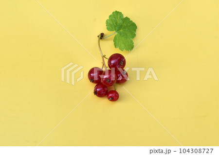 Currant red with a leaf on a yellow background. 104308727