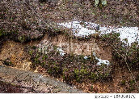 A small landslide on the clay slope of the ravine due to water washout 104309176