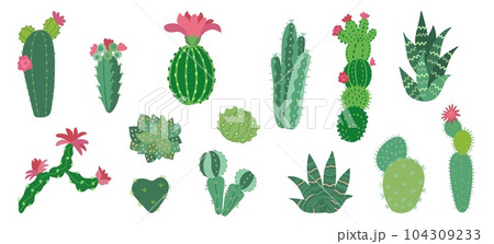 Flat mexican cactus, decorative cacti arizona desert. Succulents, home green decor with flowers. Isolated cactuses, floral nowaday cartoon vector set Flat mexican cactus, decorative cacti arizona desert. Succulents, home green decor with flowers. Isolated cactuses, floral nowaday cartoon vector set 104309233