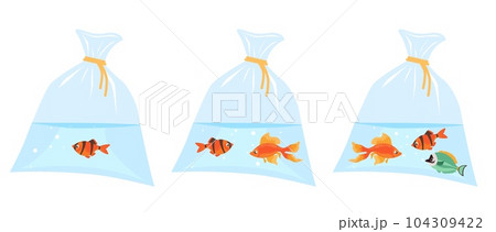 Little brightly colored fish inside plastic bag of water. Pets transportation. Aquatic animal. Goldfish floating in cellophane pouch aqua. Veterinary container. Vector aquaculture set Little brightly colored fish inside plastic bag of water. Pets transportation. Aquatic animal. Goldfish floating in cellophane pouch aqua. Veterinary container. Vector aquaculture set 104309422