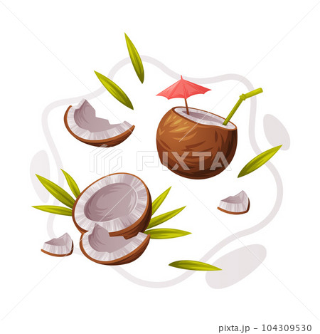 Coconut Product as Tropical Fruit and Organic Food Ingredient Vector Composition Coconut Product as Tropical Fruit and Organic Food Ingredient Vector Composition 104309530