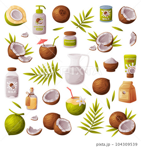 Coconut Products as Tropical Fruit and Organic Food and Cosmetic Ingredient Vector Set 104309539