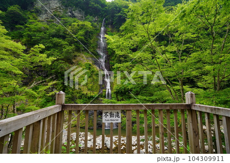 不動滝(高滝) 奈良県吉野郡十津川村 不動滝(高滝) 奈良県吉野郡十津川村 104309911