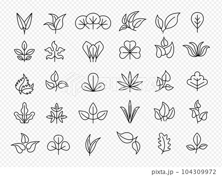 Leaf collection. Linear icons of natural leaf stylized templates recent vector garden symbols 104309972