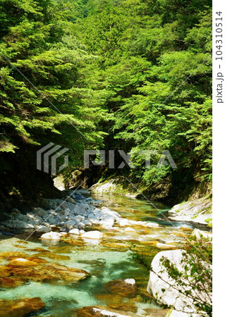 新緑の渓谷（奈良県吉野郡下北山村　前鬼　吉野熊野国立公園内） 104310514