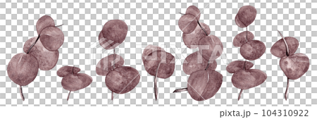 Eucalyptus grey-purple. Border from different branches of eucalyptus in watercolor for your design 104310922