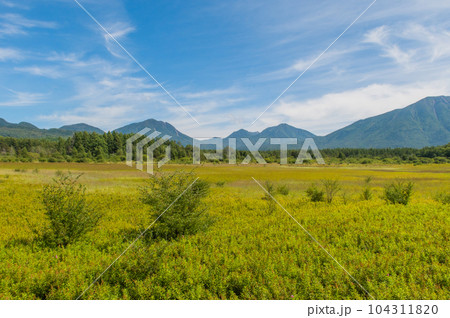 奥日光 小田代ヶ原 散策 奥日光 小田代ヶ原 散策 104311820