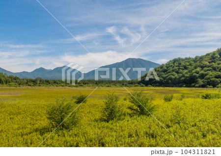 奥日光　小田代ヶ原　散策 104311821