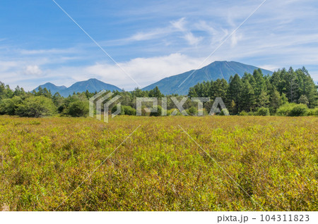 奥日光 小田代ヶ原 散策 奥日光 小田代ヶ原 散策 104311823