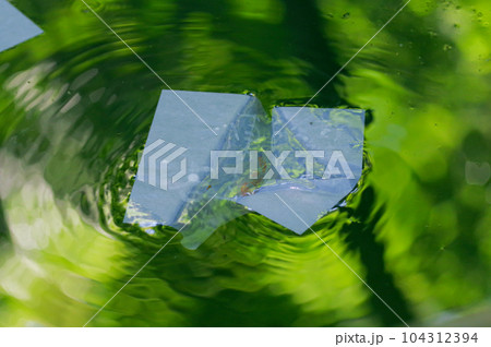 八重垣神社の鏡の池の占い 八重垣神社の鏡の池の占い 104312394