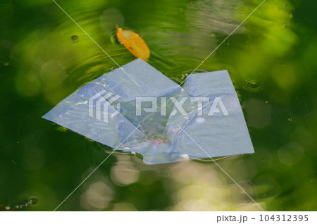 八重垣神社の鏡の池の占い 八重垣神社の鏡の池の占い 104312395