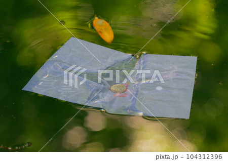 八重垣神社の鏡の池の占い 104312396