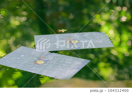 八重垣神社の鏡の池の占い 104312400