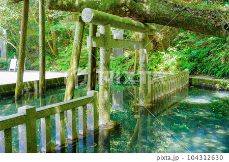 （茨城県）鹿島神宮・御手洗池 104312630