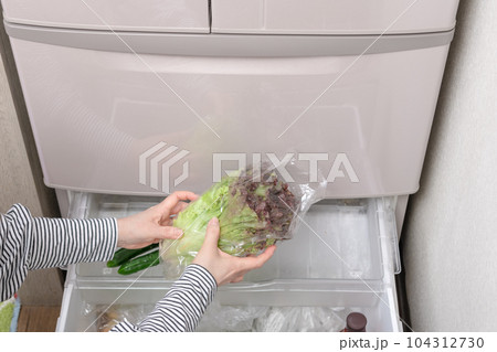 【野菜室からサニーレタスを出す主婦】 104312730